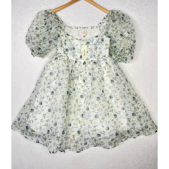 NWT Audrey Parks x Francesca's Asha Valney Floral Babydoll Dress sz S Cottage - Picture 2 of 9
